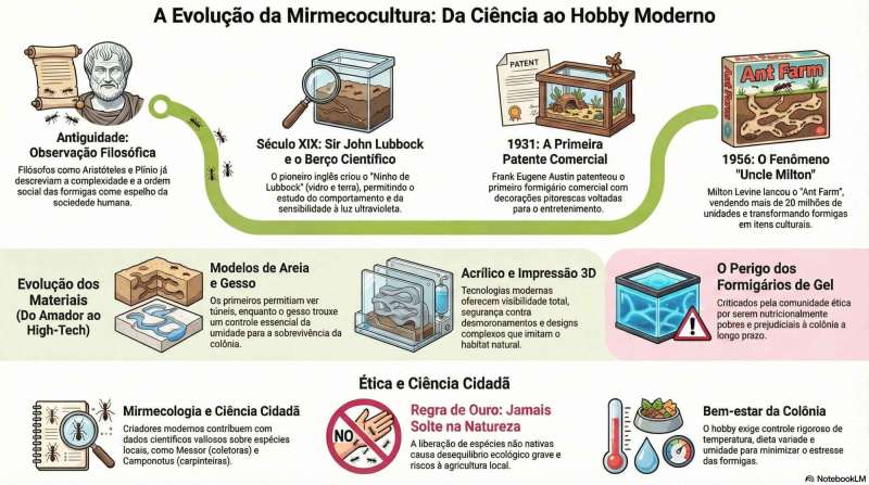 A Incrível Jornada da Mirmequipagem: De Antigo a Moderno!