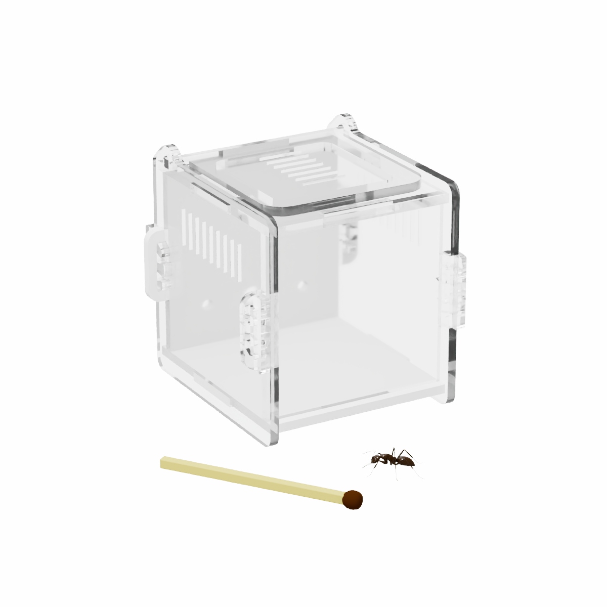 Arena de acrilico 40x40x40 mm para Ninho Nano